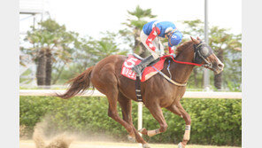 ‘돌아온포경선’, 오너스컵 우승