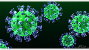 부산 이어 대전서도 메르스 의심 환자, 1차 검사 결과는 ‘음성’