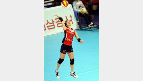 기지개 켜는 프로배구…태국-베트남팀 초청해 여자부 볼거리 더해