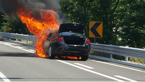 車학과 교수 “1~2도 차이로 화재 여부 결정,  BMW 폭염에 안타는 게 상책”