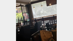 폭염에 스타벅스 유리창까지 깨졌다? 알고 보니 ‘외부충격’ 탓