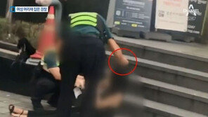 경찰 “머리채 잡고 흔든 경찰관, 직무서 배제…엄정하게 사실관계 확인”