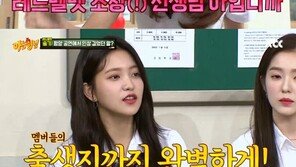레드벨벳 평양공연 당시 아이린 호칭 ‘조장 선생님’…“사전 조사 했더라”