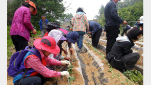 충주시 ‘귀농창업 현장실습 멘토링’ 인기