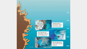 심해 산호초, 너마저!