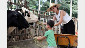 연 매출 8억…30대 초반 자매 목장주의 성공기
