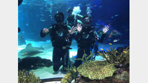 “수중 다이버가 되어 보실래요?”