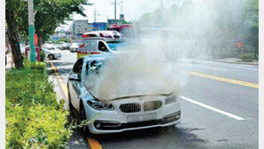 안전점검 받고도 불났다… 마크 보면 흠칫 ‘BMW 포비아’