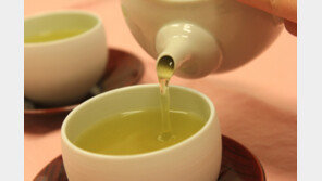  녹차부터 홍차∙커피까지… ‘차의 도시’ 일본 사가에서 즐기는 힐링 여행