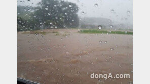 강릉·속초 폭우 역대급?…강원기상청 “하루 새 280mm, 1년 강수량의 1/4”