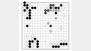 [바둑]알파고 vs 알파고 특선보… 타개의 실마리를 찾아