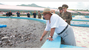 ARF의장성명에 CVID 빠지고 CD만… 北 외교공세 먹혔다