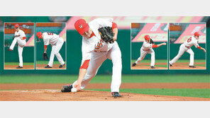 세상 보기 힘든 폼, 세상 치기 힘든 공