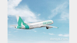 에어서울, 일본 지방 운항 확대… 다카마쓰 노선 ‘1일 1비행’