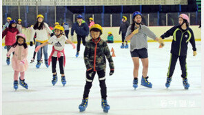 스케이트장서 피서