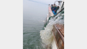 기록적인 폭염에 전남해역 고수온-적조-해파리 주의보 발효