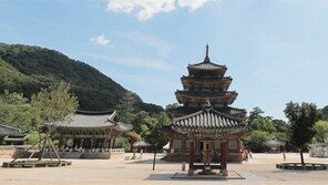 속리산 휘돈 바람에 ‘팔상전’ 추녀끝 풍경소리… 속세 번뇌 훌훌