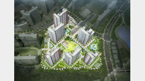 몸값 높아진 대규모 단일 브랜드타운