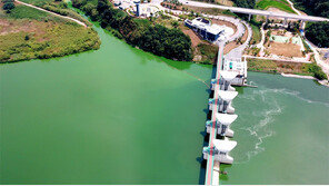 “백제보 녹조, 수문 연 공주보보다 최고 10배 높아”