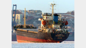 [단독]‘러시아産 석탄 증명서’ 위조한 가짜였다