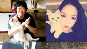 임순례·구하라·윤도현…순천만동물영화제로 향한다