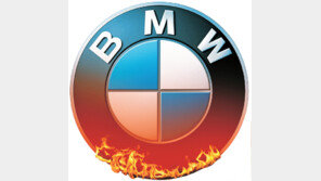 국토부 “안전진단 안 받은 BMW 차량 매매 제한 추진”…실효성 있나?