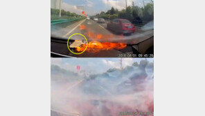 [영상]폭염 속 車대시보드 올려둔 핸드폰 ‘펑!’…대형사고 날뻔