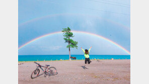 [고양이 눈]가을을 재촉하는 무지개