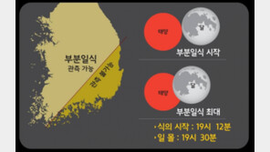 오늘(11일) 저녁 부분일식, 12일 밤엔 별똥별 쏟아져…관측 적기는?