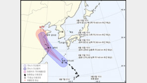 한반도 역대급 폭염 계속되나…韓·日·美 “태풍 야기, 中 내륙서 소멸할 듯”
