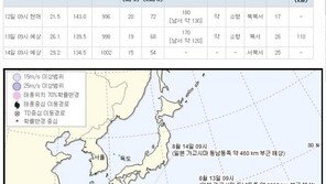 제 15호 태풍 리피, 한반도 영향 안줄 듯…기상청 “열대저압부로 약화될 것”
