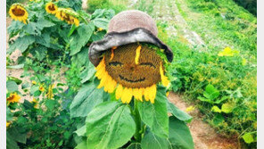 [고양이 눈]미소