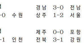 경남 화끈한 골잔치… 3-0 전남 누르고 2위 굳히기
