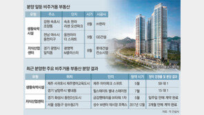 ‘비주거용 부동산’ 날개 달았다