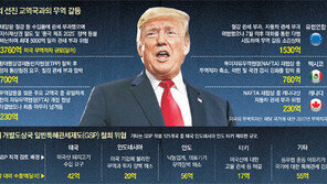 트럼프, 개도국 생명줄 ‘특혜관세’까지 끊나… 커지는 터키發 공포