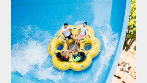 “늦여름을 시원하고 알차게”, 에버랜드·캐리비안 베이 3색 바캉스 코스