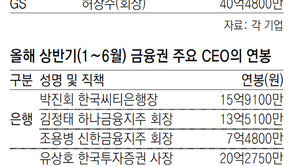 한투증권 차장, 상반기 22억 ‘깜짝 보수’… 오너보다 9억 더 받아