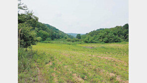 한반도 ‘평화의 바람’ 타고 쑥쑥 올라가는 ‘파주의 가치’