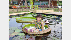 [고양이 눈]물 위에 앉다