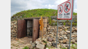 中경비원, 광개토대왕비 사진촬영 막아… 휴대전화 뺏어 삭제도