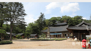 임시정부 요원들과 심은 향나무가 그대로…백범의 발자취가 남아있는 ‘마곡사’