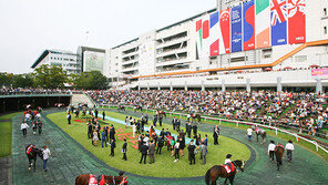 한국경마 국제 경쟁력 시험대…제3회 코리아컵을 주목하라