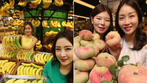 컵수박·하루 바나나…잘나가는 ‘1인 과일시장’