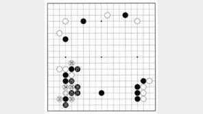 [바둑]알파고 vs 알파고 특선보… 이 한 수