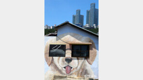 [고양이 눈]메롱