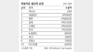 커피나무 뽑고 아보카도 심는 케냐 농부들