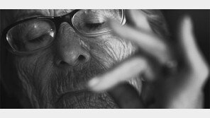 [책의 향기]맹목적 지지-무관심이 나치 악행 낳았다