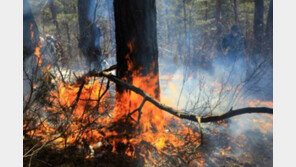 ‘전주 산불’ 용복동 야산에서 화재 발생…“인명피해 현재까진 無”