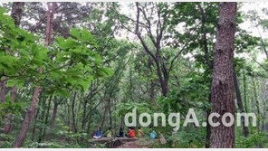 과천 서울대공원 인근 수풀서 시신 발견…남성으로 추정