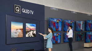 삼성, 디지털프라자 ‘QLED TV존’ 새단장